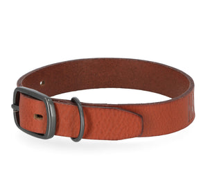 Harley-Davidson Embossed Genuine Leather Pet Collar, Matte Gunmetal Finish Cognac Orange MPC200