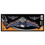 Harley-Davidson RWB American Eagle Logo Stick-On Decal CG5678