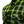 Close-up of a green and black plaid button-up shirt with a chest pocket, sunglasses hanging on the chest pocket, and a visible 'DEMONS BEHIND ME' logo patch.