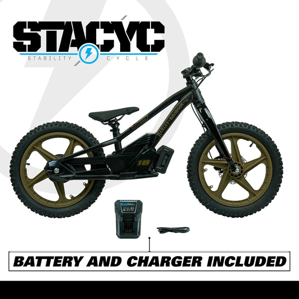 Harley-Davidson STACYC Brushless 18 EDrive Kids' Electric Balance Bike For Kids' 8-10 Years Old 100035-18