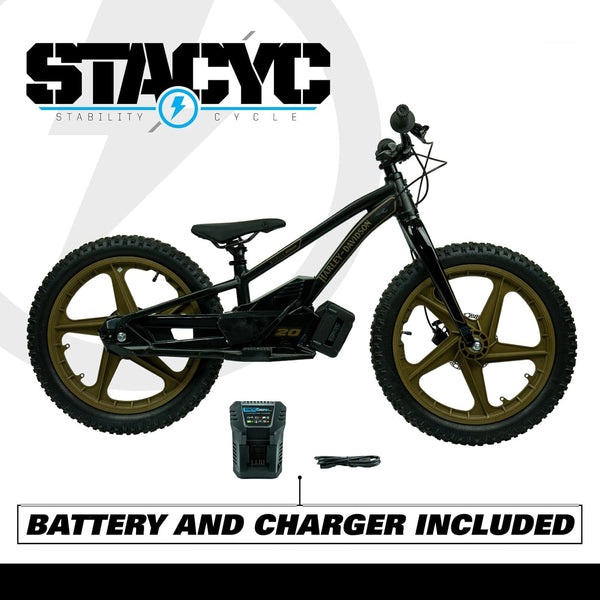 Harley-Davidson STACYC Brushless 20 EDrive Kids' Electric Balance Bike For Kids' 10-12 Years Old 100037-20