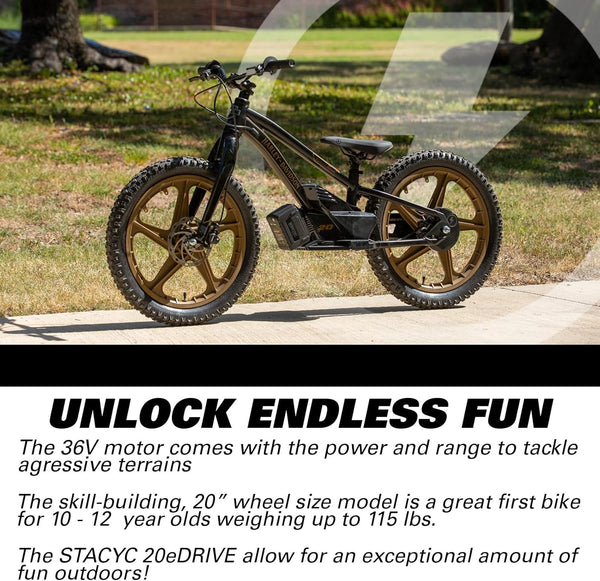 Harley-Davidson STACYC Brushless 20 EDrive Kids' Electric Balance Bike For Kids' 10-12 Years Old 100037-20