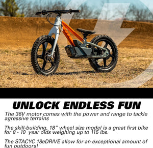 Harley-Davidson STACYC Brushless 18 EDrive Kids' Electric Balance Bike For Kids' 8-10 Years Old 100035ORGWHT