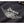 Dickies x Harley-Davidson Unisex Winged Horseshoe Oversized Long Sleeve Pullover Hoodie, Black 96090-26VX