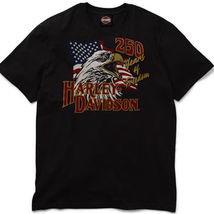 Black Harley Davidson t-shirt with eagle and American flag design on a white background
