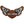 Harley-Davidson wings embroidered patch in orange, black, and white, featuring the classic bar and shield logo with 'Harley-Davidson' text.