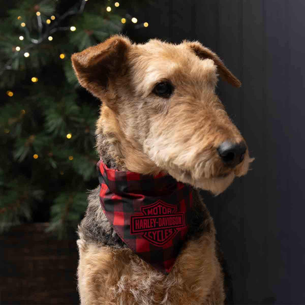 Harley-Davidson Holiday Water-Resistant Embossed B&S Adjustable Collar Clasp Plaid, Large/X-Large Pet Bandana Red/Black HDX-90211