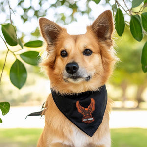 Harley-Davidson Up-Winged Eagle Water Resistant Pet Bandana Large/X-Large, Black HDX-90218
