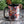 Harley-Davidson Holiday Biker Santa Full Wrap 15 oz. Christmas Ceramic Mug, Black HDX-98689