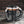 A glossy black ceramic mug with a Harley-Davidson logo, featuring white and orange stripe accents, set on a dark textured surface with a blurred brick wall background.