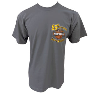 Gray t-shirt with Harley-Davidson logo and text on a white background