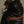Person wearing a black Harley-Davidson hoodie with red text.