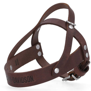 Brown leather dog harness with metal hardware on a white background, featuring 'Harley-Davidson' branding.