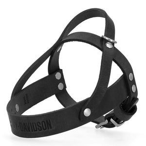 Black leather dog harness with silver hardware on a white background, featuring Harley-Davidson branding.