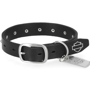 Black leather dog collar with silver buckle and tag on a white background