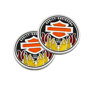 Stained Glass Bar & Shield with Flames Challenge Coin 8009779