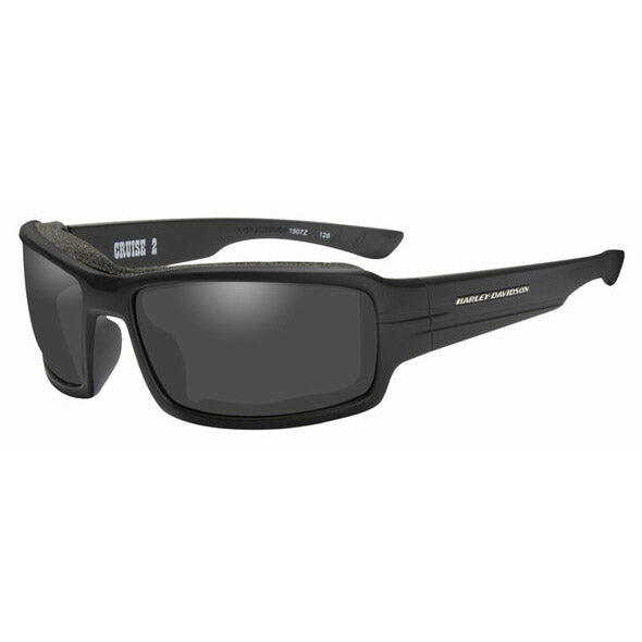 Men's Cruise 2 Gasket Sunglasses Gray Lens/Black Frames HACRS01
