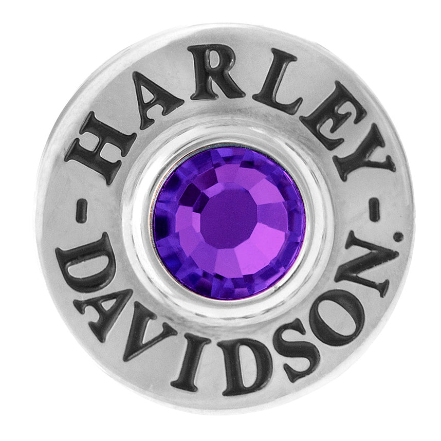 Silver Tone Round Rally Charm with Purple Stone