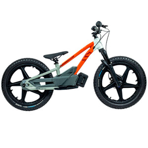 Harley-Davidson STACYC Pan America Launch Edition 20 EDrive Kids' Electric Bike 100036